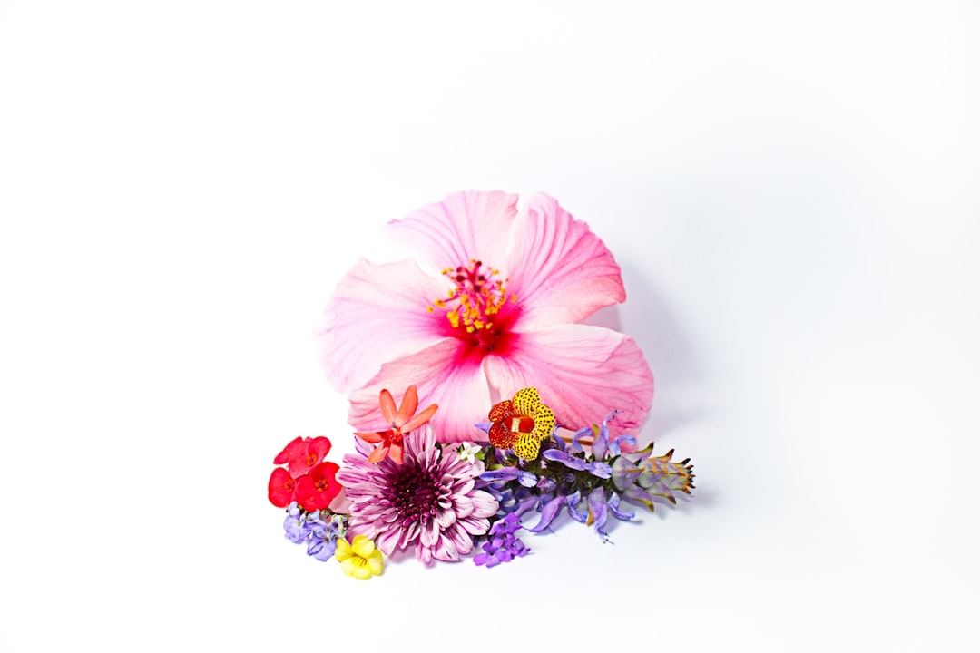 How pH affects cut flower longevity