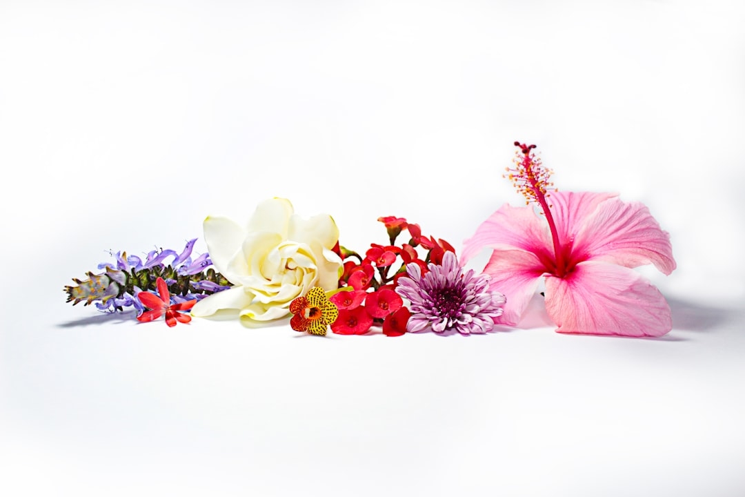 AI flower recommendations – do they actually work