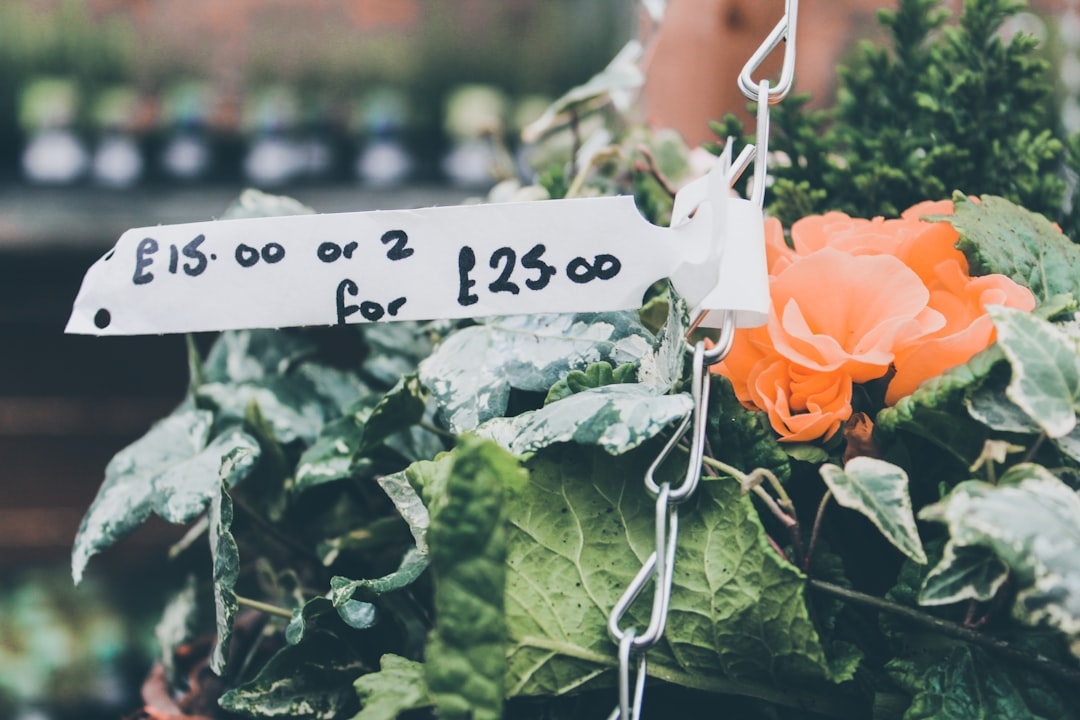 Flower price seasonality calendar