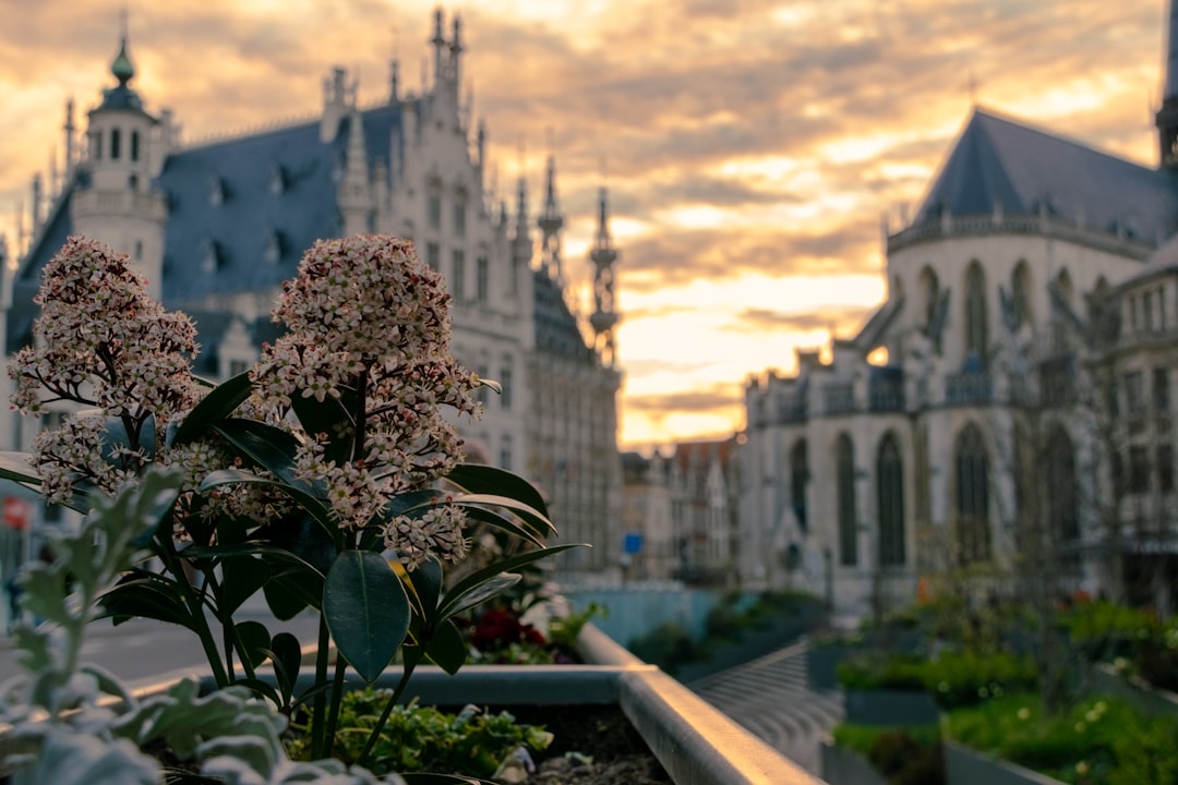 Wedding flowers for a city hall venue – design guide
