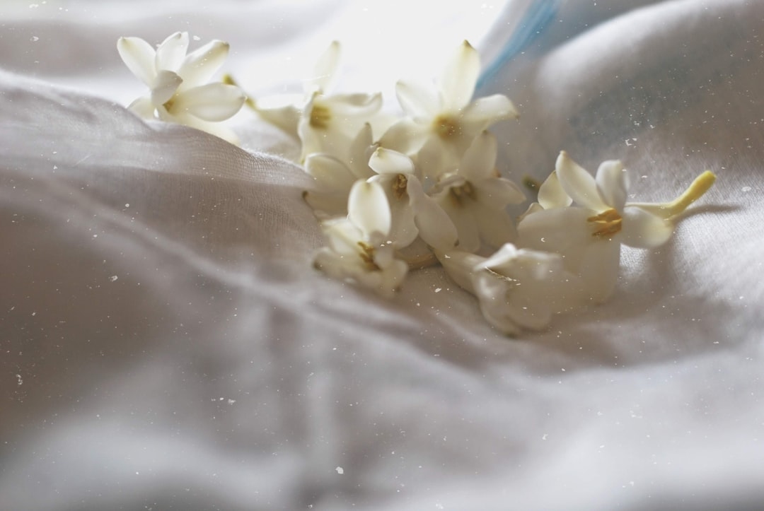 Flowers that feel like silk