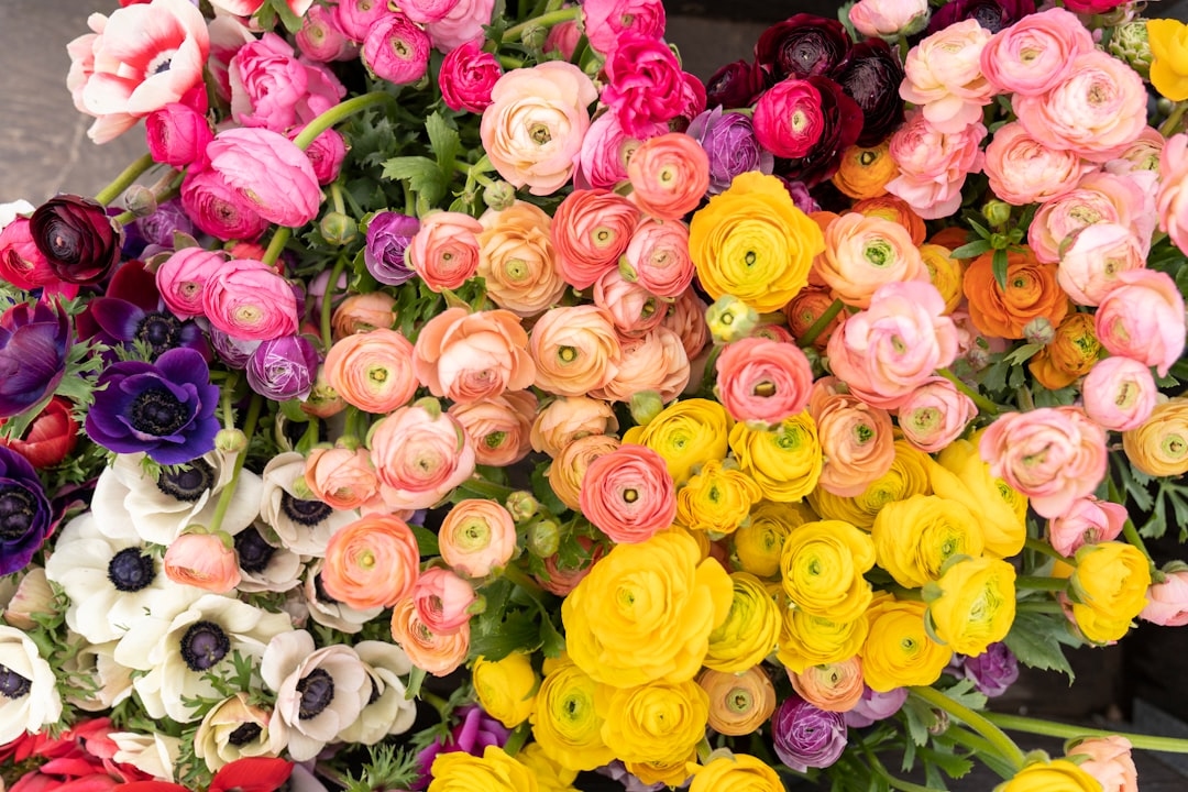 Flowers for an IPO day for a founder