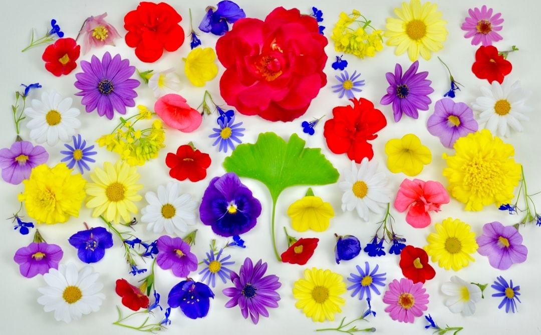 Edible flower salads design