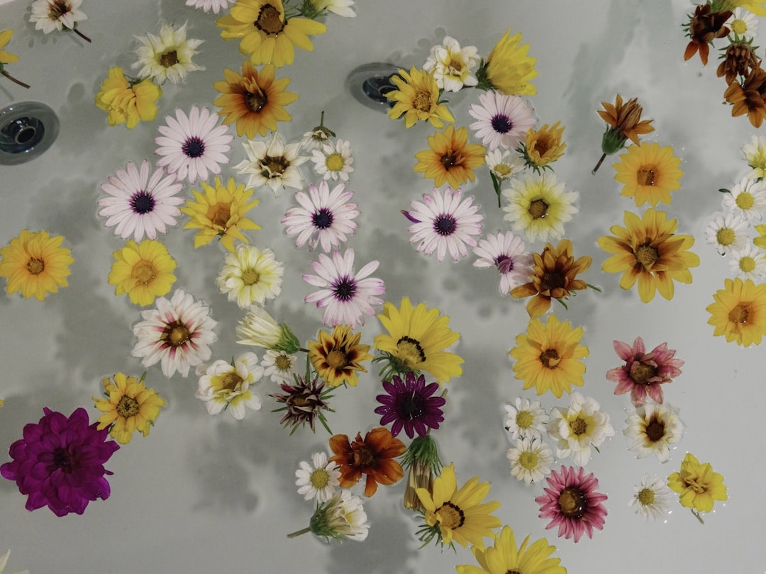 Hydroponic cut flowers for beginners
